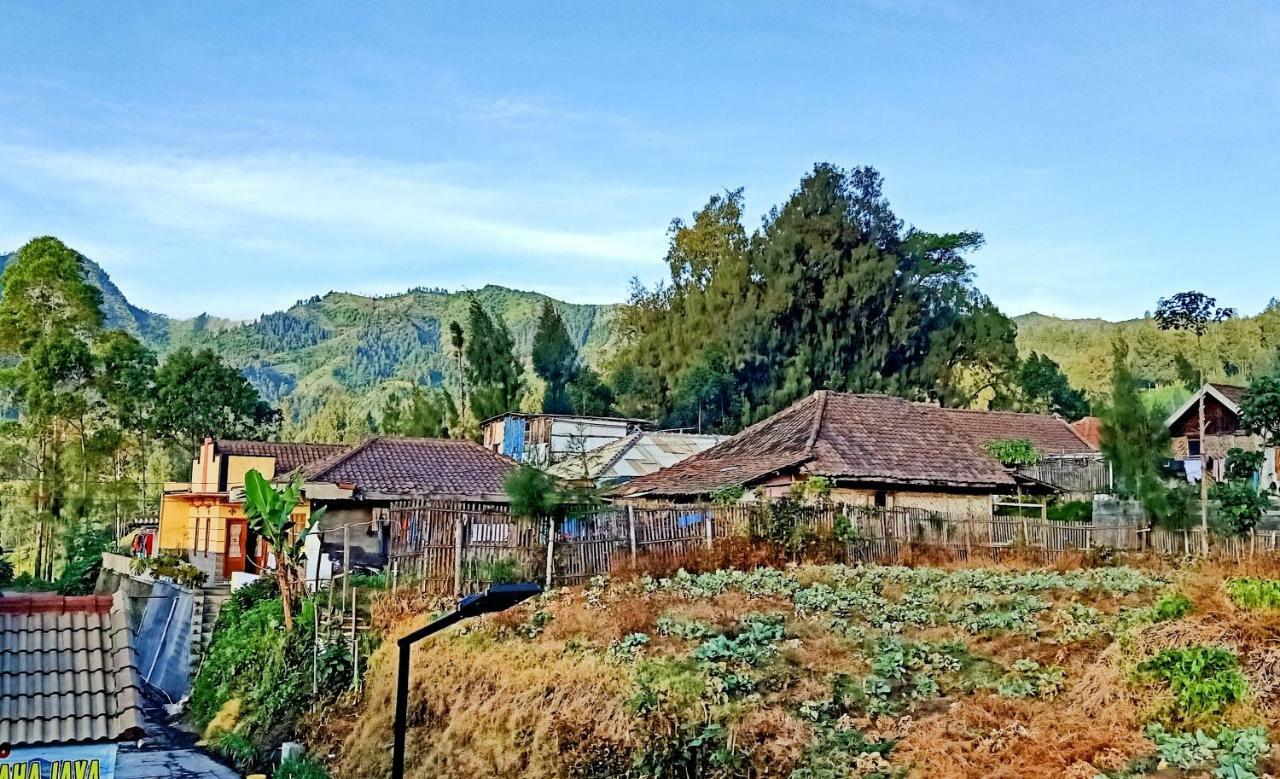 Homestay Anggun Bromo Ngoại thất bức ảnh